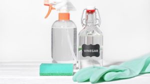 Comment les plombiers et les professionnels du nettoyage nettoient un réservoir de toilette avec du vinaigre