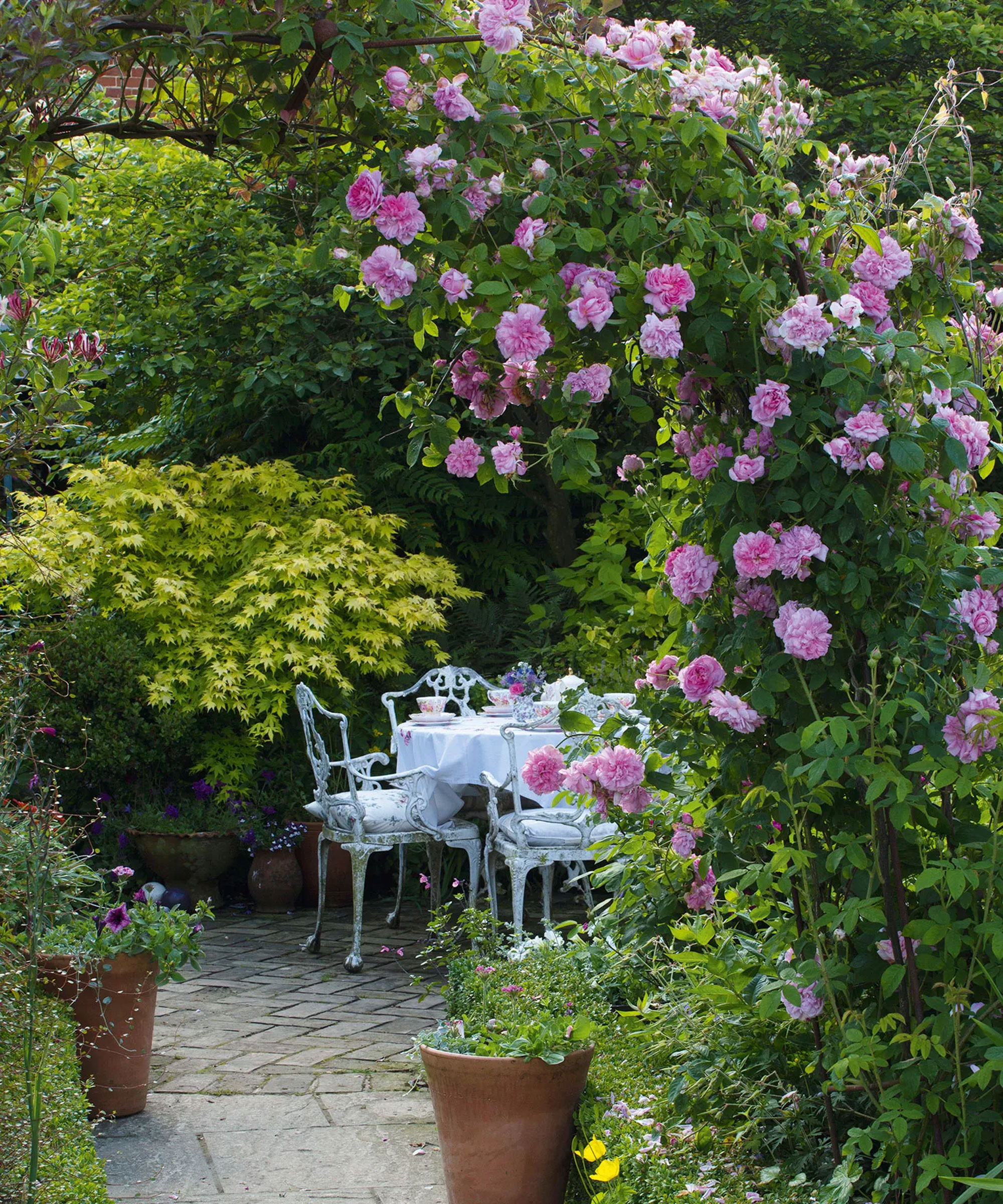 banc avec arche de roses
