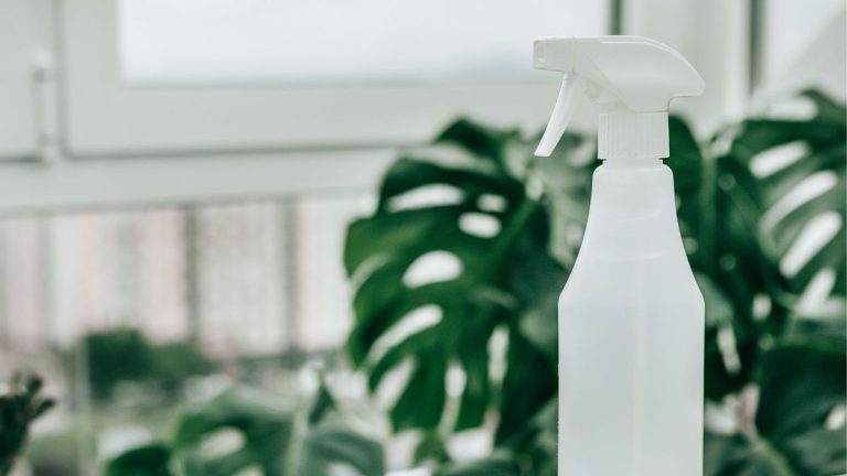 9 façons d’utiliser le peroxyde d’hydrogène pour le nettoyage – révélées par des experts 9 façons d'utiliser le peroxyde d'hydrogène pour le nettoyage - révélées par des experts
