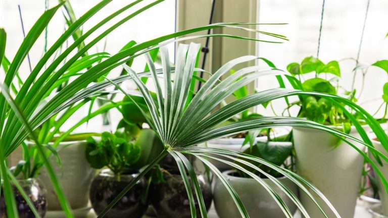 Des experts partagent des moyens inhabituels mais efficaces de vous garder, vous et votre maison, au frais en cas de chaleur extrême Des experts partagent des moyens inhabituels mais efficaces de vous garder, vous et votre maison, au frais en cas de chaleur extrême