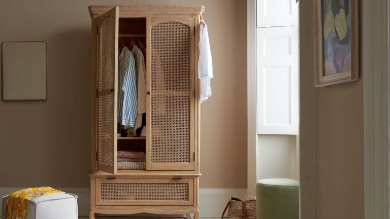 Comment organiser une petite armoire avec beaucoup de vêtements – sans désencombrer votre collection Comment organiser une petite armoire avec beaucoup de vêtements – sans désencombrer votre collection