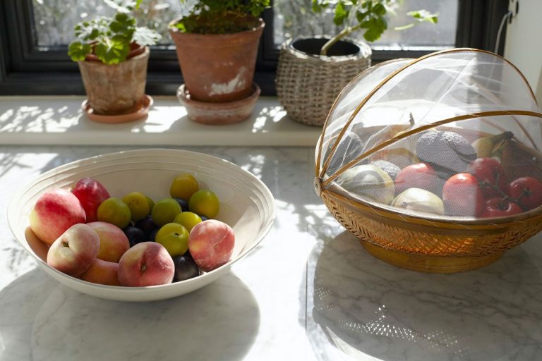 Comment se débarrasser des mouches des fruits dans la maison – solutions pour bannir l'insecte rapidement