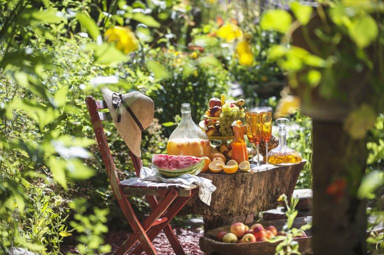 Idées de souches d’arbres – 10 façons amusantes et créatives de leur donner une nouvelle vie