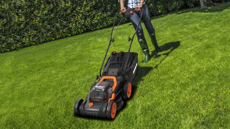 J'ai donné 5 étoiles à la tondeuse à gazon sans fil Worx WG779E 40 V – et elle est toujours en vente pour Prime Day