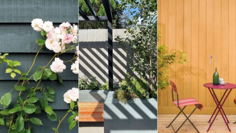 Ce sont les seules couleurs dans lesquelles vous devriez peindre votre clôture de jardin – si vous souhaitez ajouter de la valeur à votre maison.