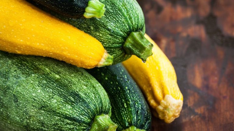 Une surveillance régulière est « vitale » pour détecter précocement les maladies des courgettes et sauver vos plantes