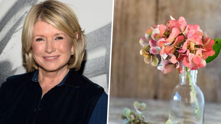 Martha Stewart révèle une astuce géniale pour couper les hortensias pour les faire durer plus longtemps dans un vase