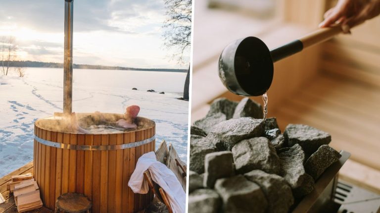 Bain à remous ou sauna : quel est le meilleur choix pour votre jardin ?