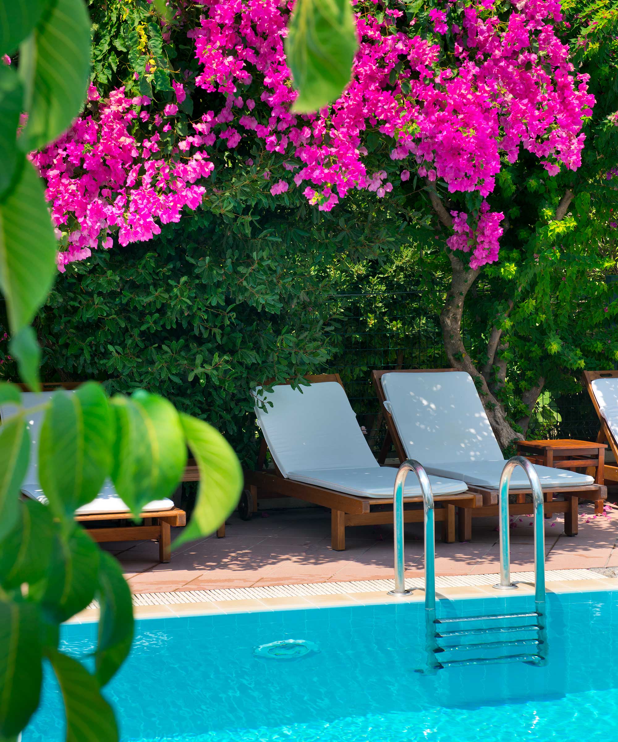 fleurs roses au-dessus de la piscine