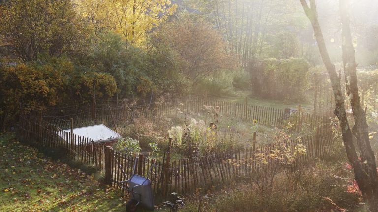 Pourquoi il est important de fertiliser un potager à l’automne – aliments, paillis et cultures de couverture pour dynamiser le sol