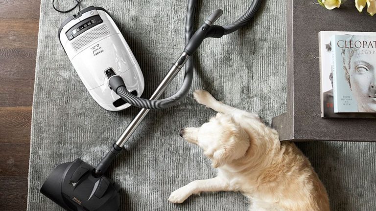Examen de l'aspirateur-traîneau Miele Complete C3 pour chats et chiens