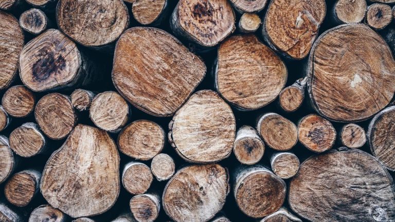 Idées de magasin de bûches – 9 modèles élégants qui garderont le bois de chauffage bien rangé à l’extérieur