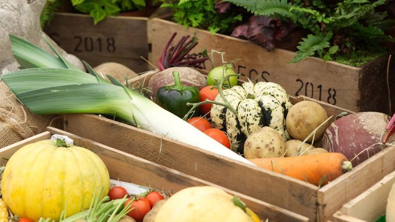 7 récoltes à récolter en octobre – les meilleures cueillettes du potager