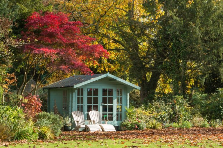7 arbres à tailler en octobre – et combien enlever