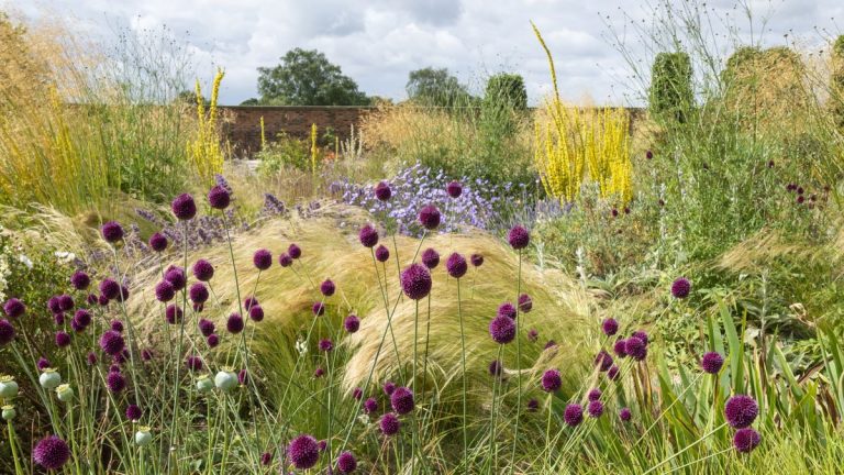 Comment planter des bulbes en dérive – conseils d’experts pour créer un tapis floral sensationnel ce printemps