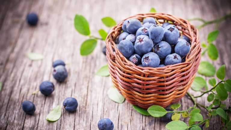 Comment planter des bleuets – pour des arbustes sains et des fruits délicieux