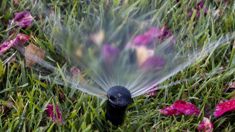 Comment hiverner un système d’arrosage – 4 étapes clés recommandées par les experts en irrigation