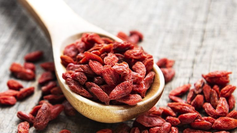 Quand récolter les baies de goji – et pourquoi les professionnels attendent avant de cueillir ces fruits