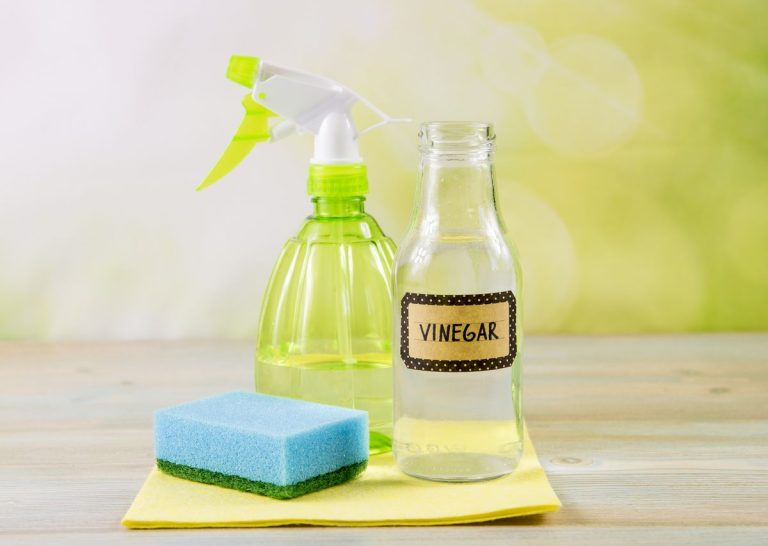 Nettoyer au vinaigre : 15 tâches ménagères facilitées Nettoyer au vinaigre : 15 tâches ménagères facilitées