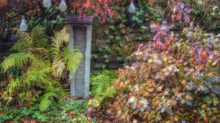 7 plantes à tailler en novembre – réduisez ces plantes ornementales et comestibles ce mois-ci