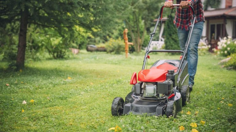 Comment hiverner une tondeuse à gazon – 6 étapes clés recommandées par les experts lors du stockage d’une tondeuse