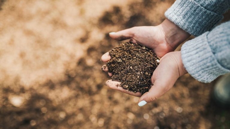 Comment intégrer un bac à compost dans votre jardin – conseils d'experts pour styliser ces accessoires de jardin délicats