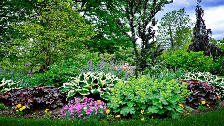 Comment créer une bordure de feuillage – pour une texture et un intérêt toute l'année