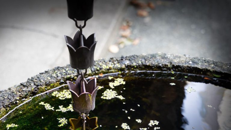Comment nettoyer une chaîne de pluie – conseils d’entretien essentiels pour ces systèmes décoratifs Comment nettoyer une chaîne de pluie – conseils d'entretien essentiels pour ces systèmes décoratifs