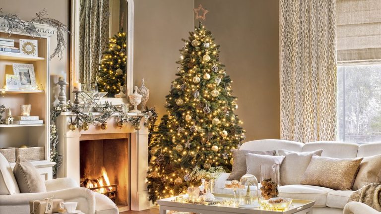 Les 12 jours d’organisation – comment les organisateurs experts préparent leur maison pour Noël Meilleures variétés d'arbres de Noël – 12 vraies options d'arbres pour votre maison