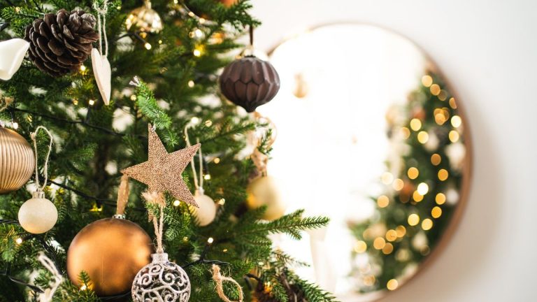 Comment choisir un sapin de Noël – 4 considérations clés pour vous assurer d’obtenir le bon sapin pour votre maison Comment choisir un sapin de Noël – 4 considérations clés pour vous assurer d'obtenir le bon sapin pour votre maison