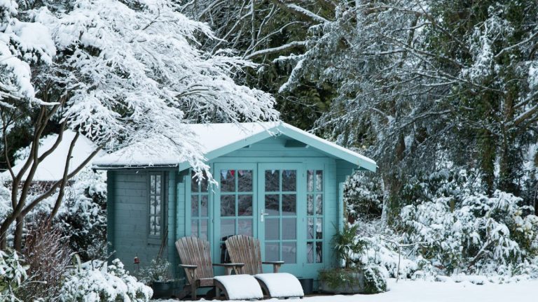 Liste de contrôle pour le jardinage d'hiver : 10 façons de protéger votre cour pendant les mois les plus froids