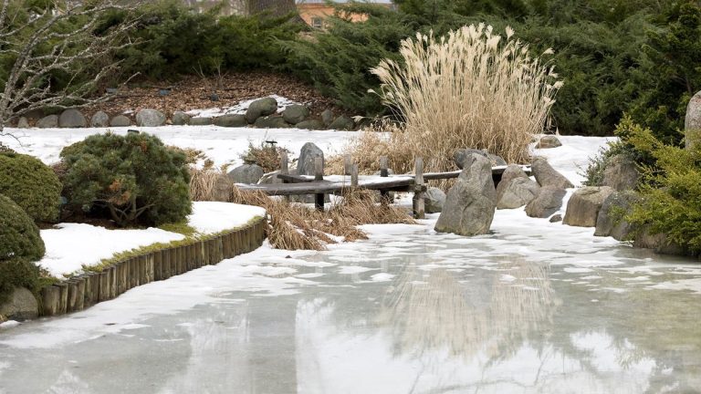 Comment chauffer un étang en hiver – 5 façons d’éviter qu’il ne gèle