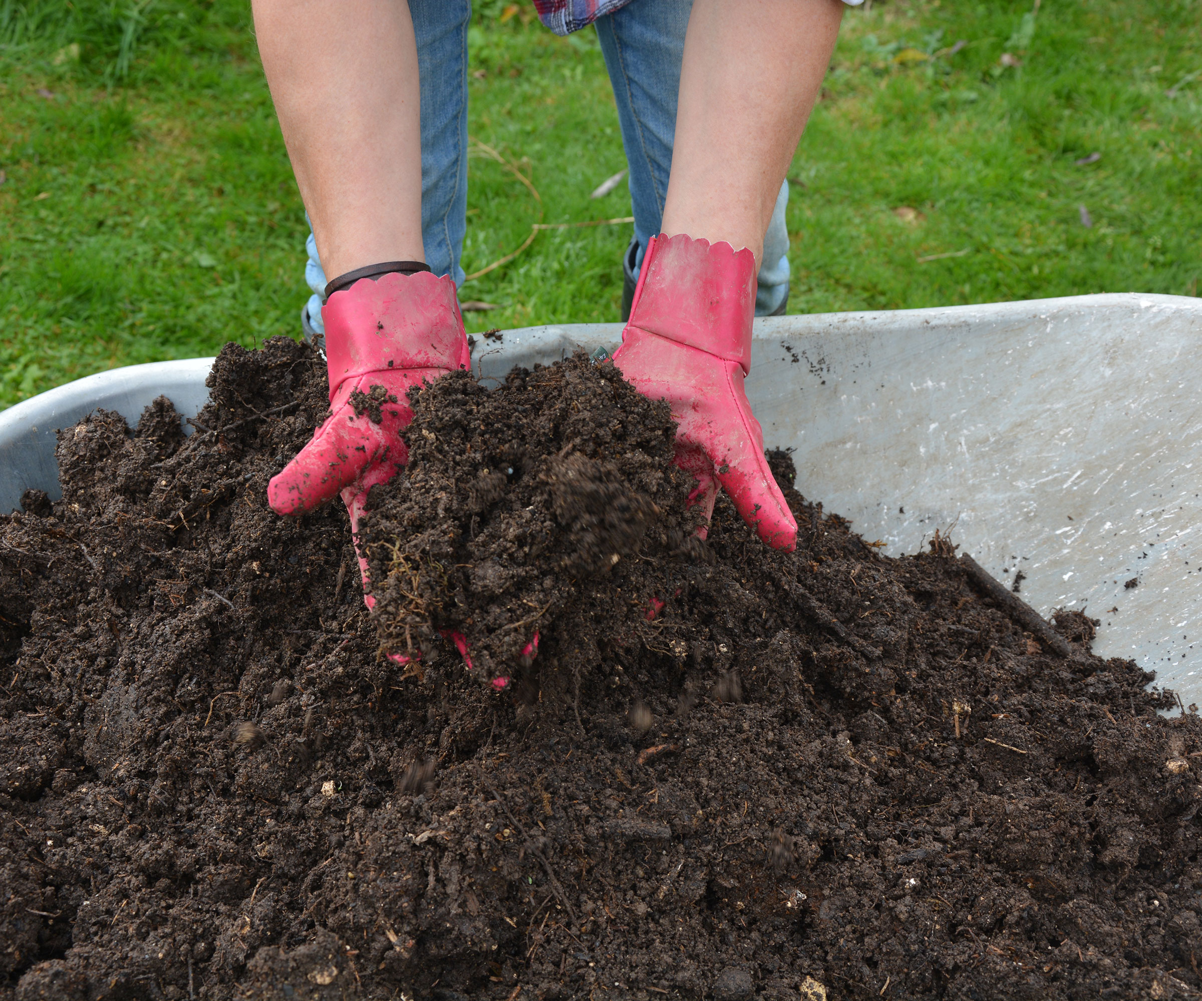Une brouette pleine de compost fait maison bien pourris