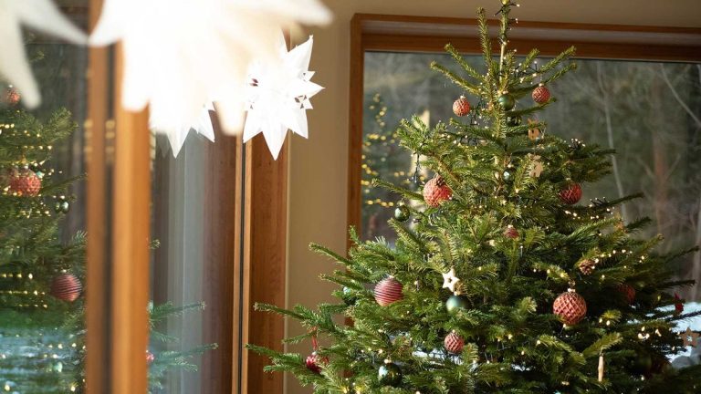 Comment arroser votre sapin de Noël en vacances – conseils de pro pour le garder frais