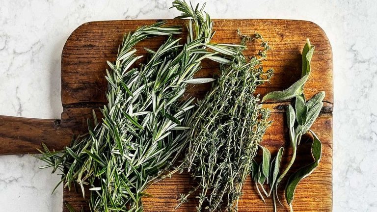 Comment récolter des herbes d’hiver pour les utiliser dans votre cuisine de Noël – conseils pour le thym, la sauge et plus encore Comment récolter des herbes d'hiver pour les utiliser dans votre cuisine de Noël – conseils pour le thym, la sauge et plus encore