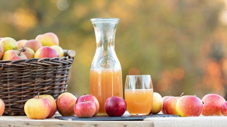 Peut-on faire du jus de pomme avec un mixeur ? Oui − voici comment Peut-on faire du jus de pomme avec un mixeur ? Oui − voici comment