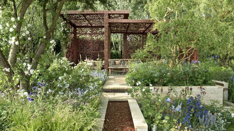 Solutions de drainage de jardin – 5 façons d’aider à empêcher votre cour d’être inondée