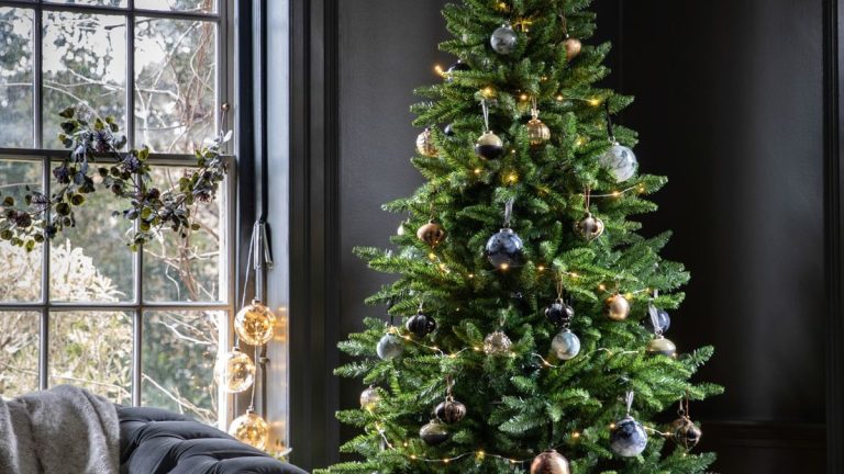 Comment empêcher les chats de détruire votre sapin de Noël