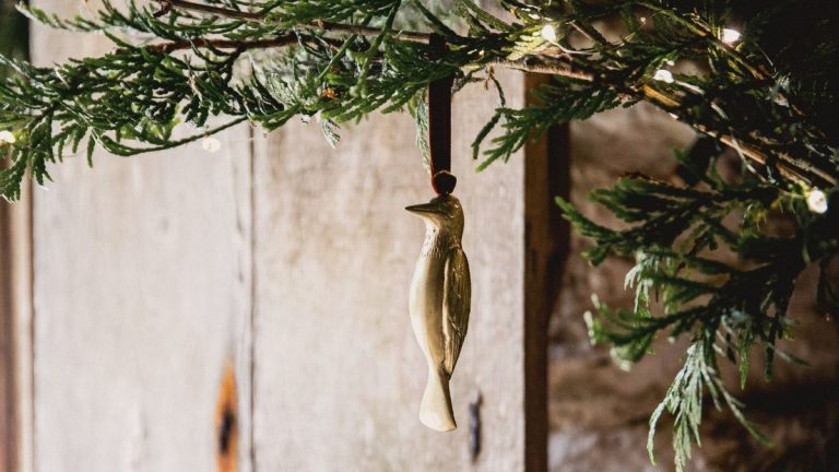 Pourquoi devriez-vous essayer de nettoyer les pins pour un Noël chanceux – selon les spiritualistes