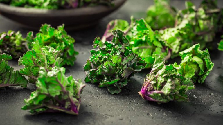 Comment faire pousser des kalettes – découvrez un nouveau légume d'hiver à la fois époustouflant et savoureux