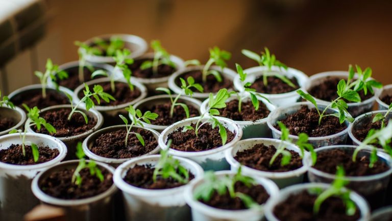 Comment retourner la terre de votre potager – pour préparer la nouvelle saison de croissance