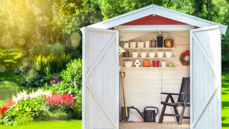 5 objets à ne jamais ranger dans un cabanon – selon les experts 5 objets à ne jamais ranger dans un cabanon – selon les experts
