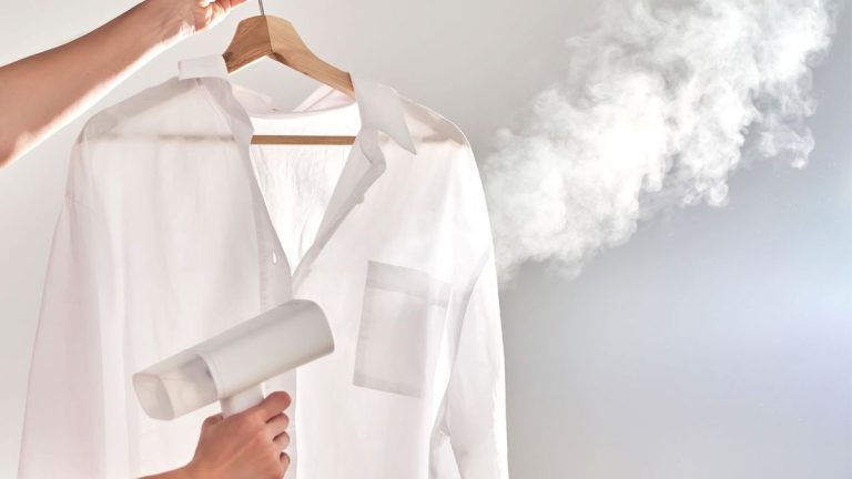 Comment nettoyer un défroisseur – 4 conseils pour garantir que vos vêtements restent propres Comment nettoyer un défroisseur – 4 conseils pour garantir que vos vêtements restent propres