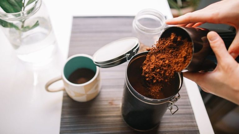 Comment garder le marc de café frais Comment garder le marc de café frais