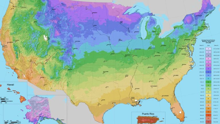 Zones de rusticité aux États-Unis – tout ce que vous devez savoir à leur sujet Zones de rusticité aux États-Unis – tout ce que vous devez savoir à leur sujet