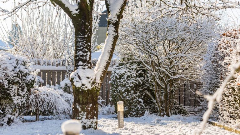 Des experts révèlent comment réparer votre cour après de violentes tempêtes hivernales Des experts révèlent comment réparer votre cour après de violentes tempêtes hivernales
