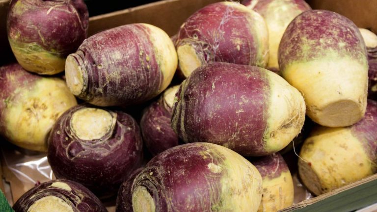 Comment faire pousser du rutabaga – conseils pour cultiver cette culture sucrée et terreuse sous-estimée à partir de graines Comment faire pousser du rutabaga – conseils pour cultiver cette culture sucrée et terreuse sous-estimée à partir de graines
