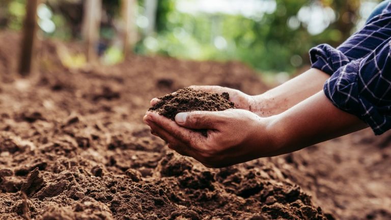 Compostage à chaud – un guide expert sur la façon d’obtenir du compost frais en 28 jours Compostage à chaud – un guide expert sur la façon d'obtenir du compost frais en 28 jours