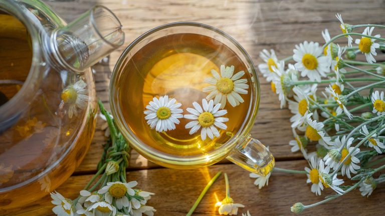 Comment planter un jardin de tisanes en intérieur – pour les infusions les plus fraîches