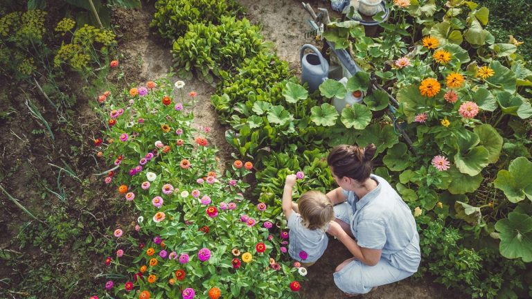 Thérapie verte : comment le jardinage peut améliorer votre bien-être physique et mental